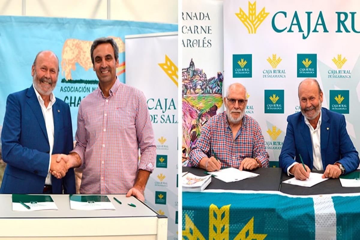 Caja Rural sigue apoyando a los criadores de ganado Charolés