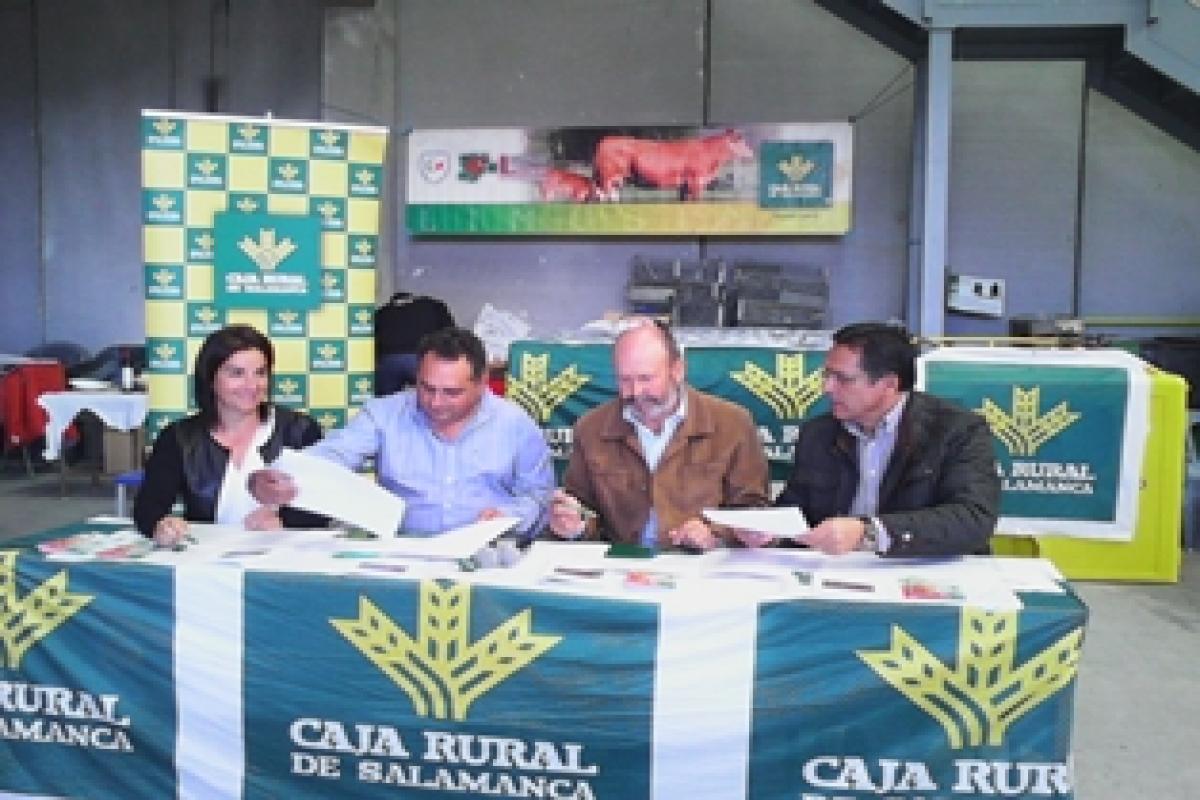 Caja Rural de Salama