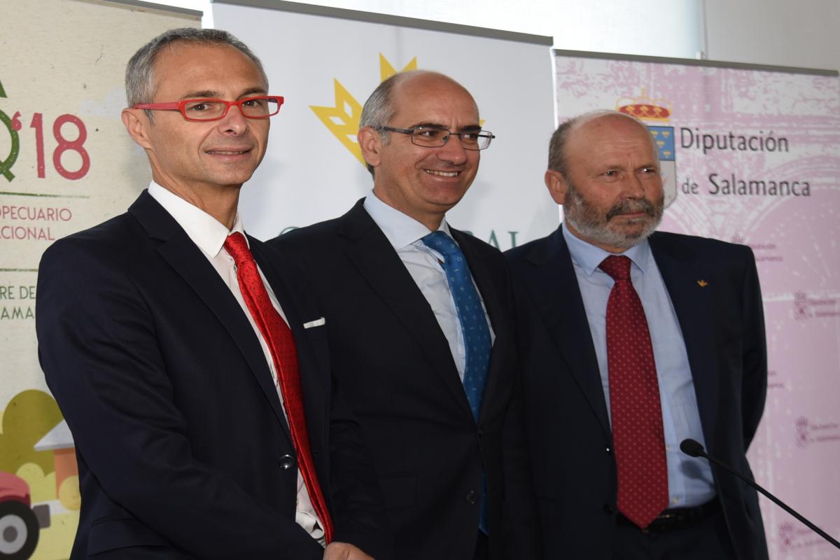 18 Proyectos respald
