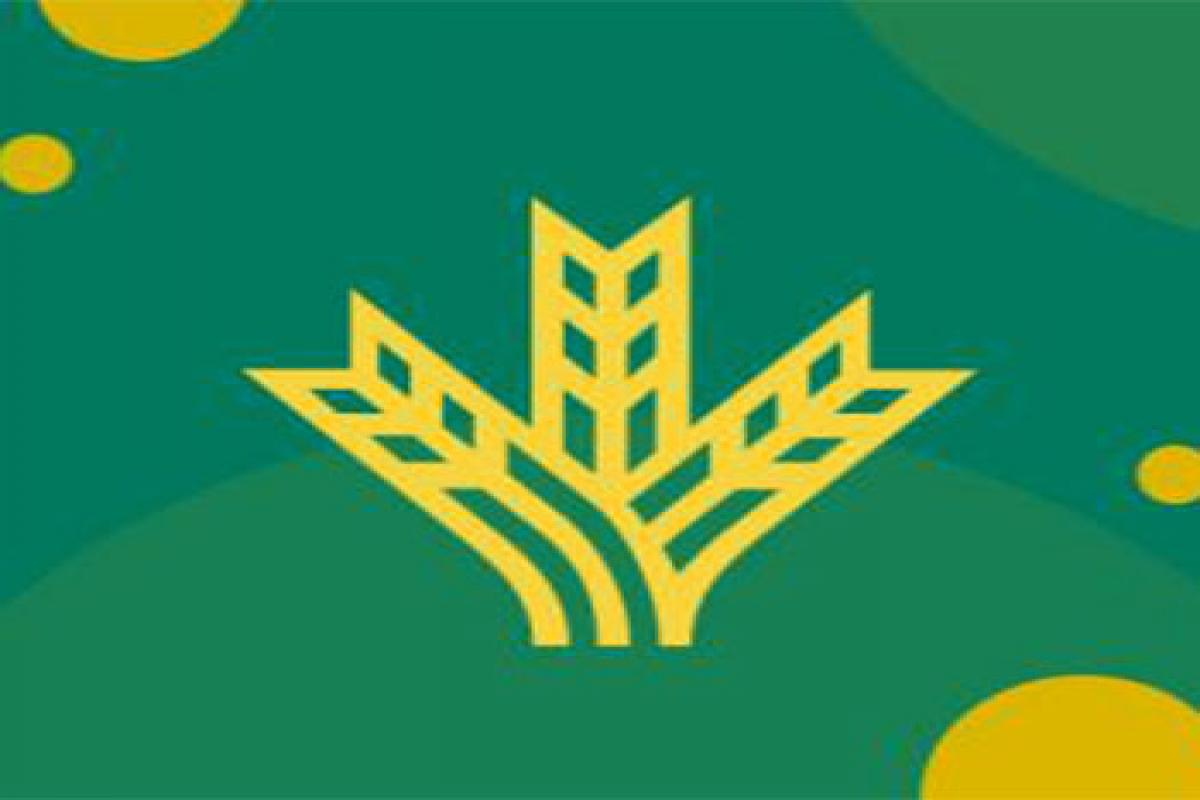 Nueva Edicion de la 