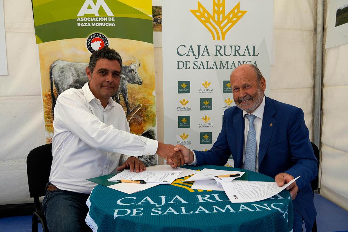 Caja Rural de Salamanca une lazos con los criadores de ganado de Morucha