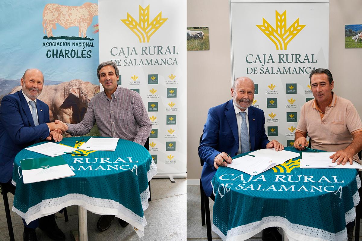 Caja Rural de Salamanca renueva su colaboración con la Unión de Criadores y la Asociación de Ganado Vacuno Charolés