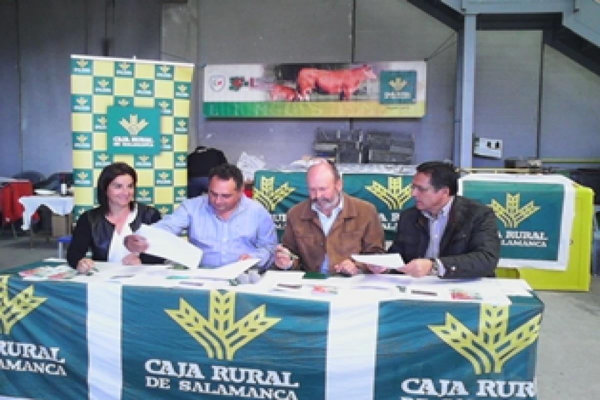 Caja Rural de Salama
