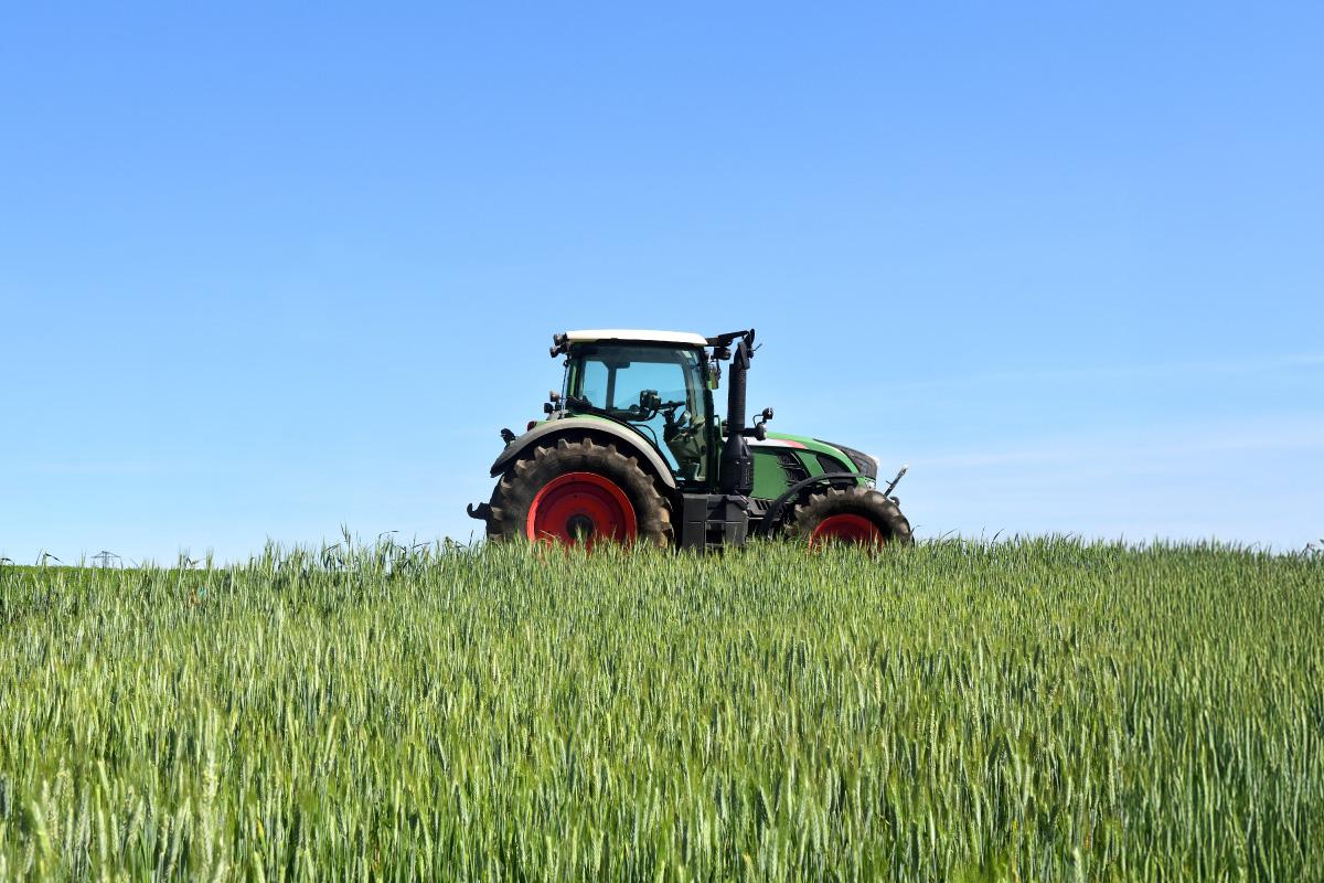 El campo español tras un año de cambios